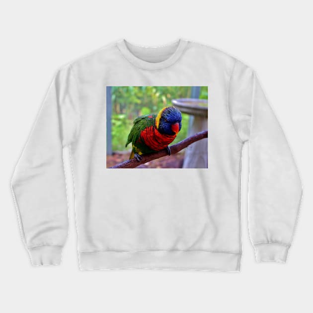 My Wet Look Crewneck Sweatshirt by Cynthia48